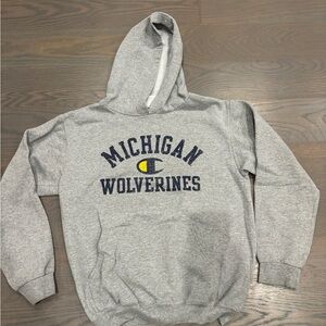 Michigan Champion Gray Hoodie
